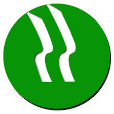 PT. Dunia Saftindo logo